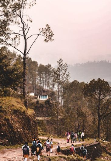 Диплом с занесением в реестр выгодная цена